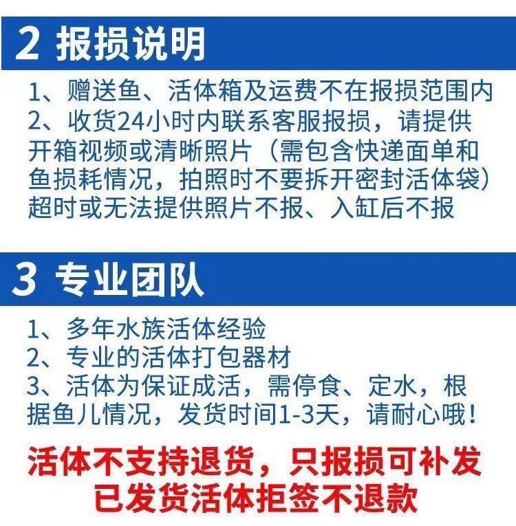 70ff1d27-7d13-48f0-aee9-7b4c3c16921d.jpe