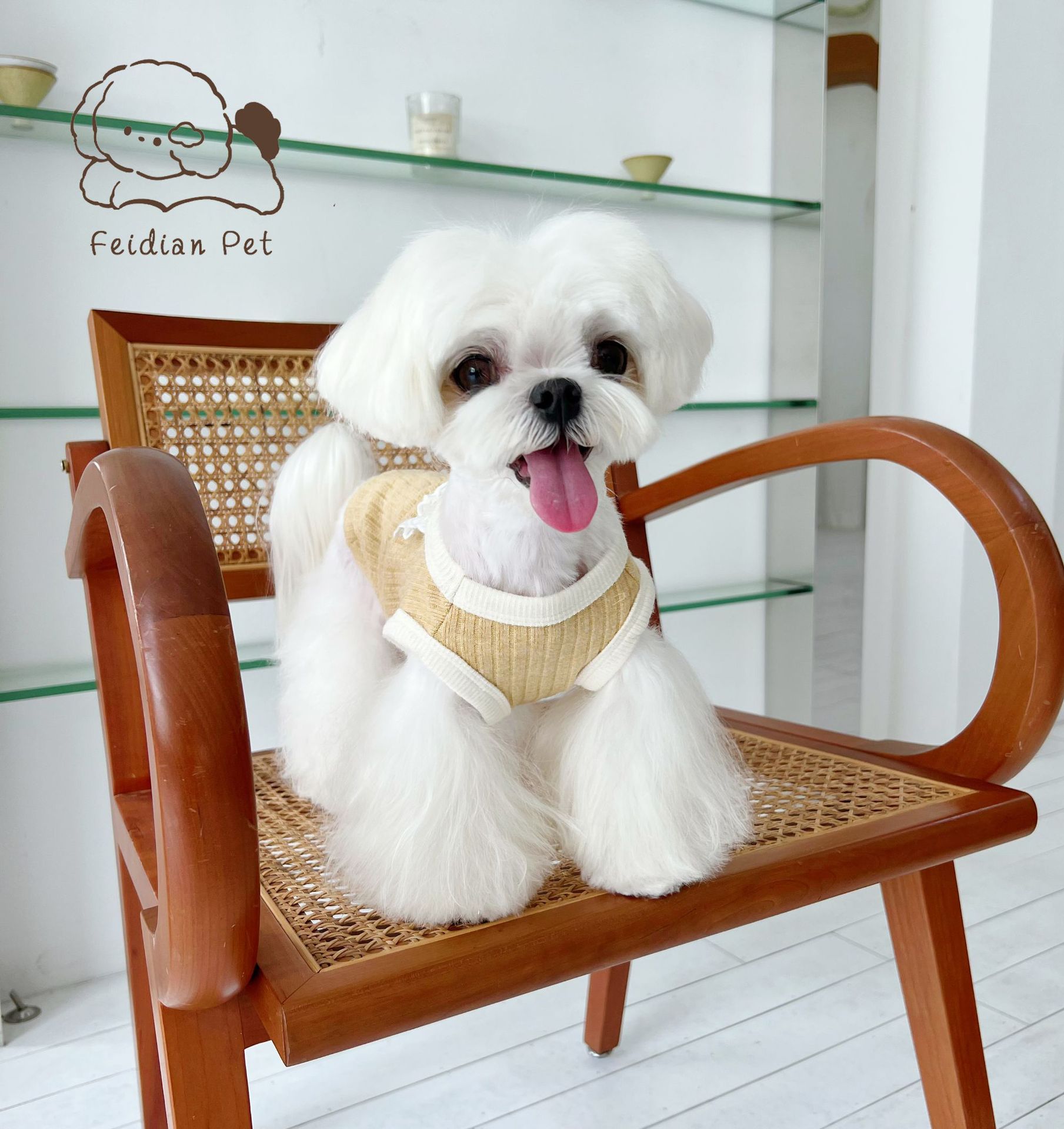 微信图片_20220822194950