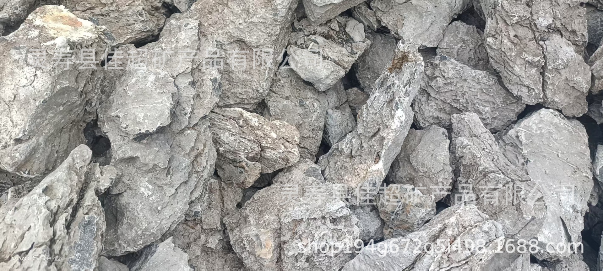 微信图片_20250601071742