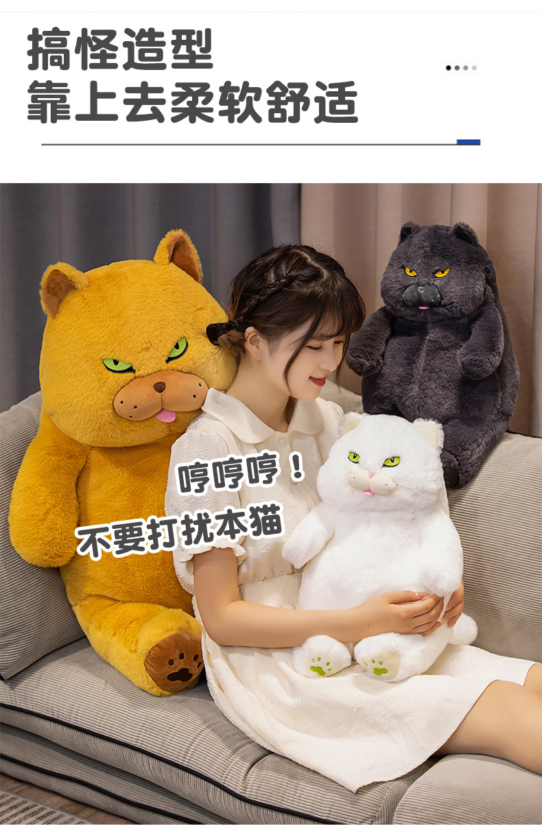 42-详情06.jpg