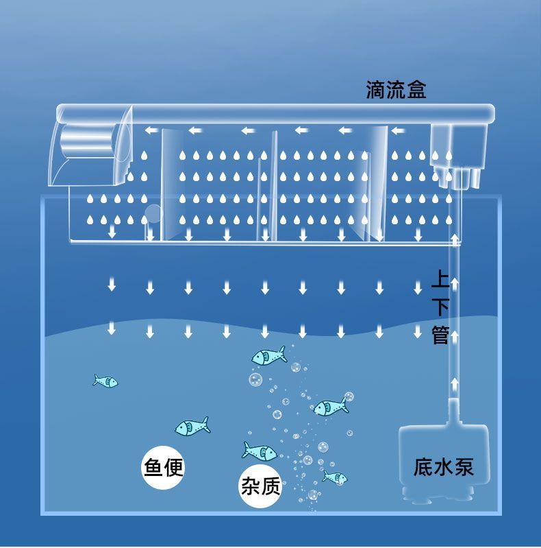 862f31b2-a049-4fb9-85e6-829c9cec94e9.jpe