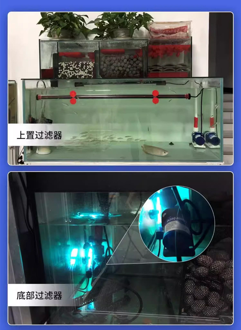 中科蓝白泵_10.jpg