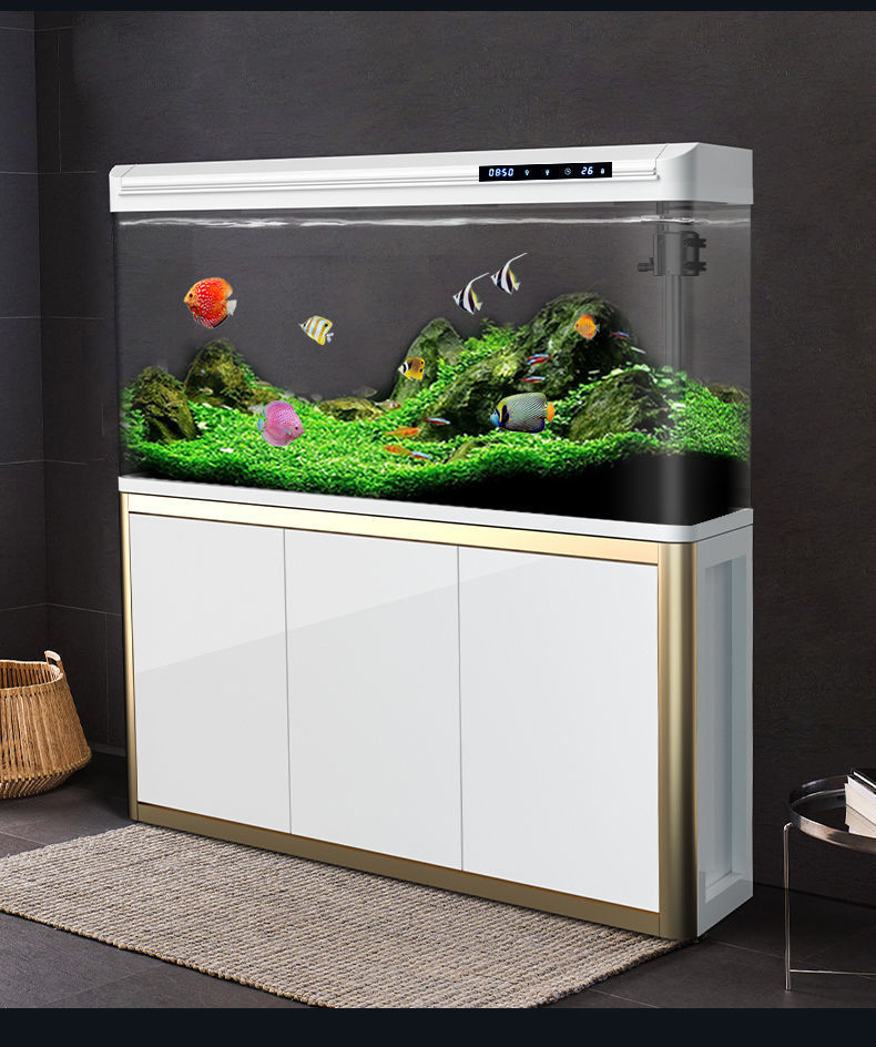 714fdf4f-d109-4f5a-8c55-c869ea6683ff.jpe