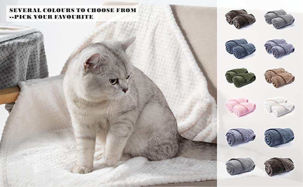 8052252a-d5d9-4b9a-9d44-a807c0