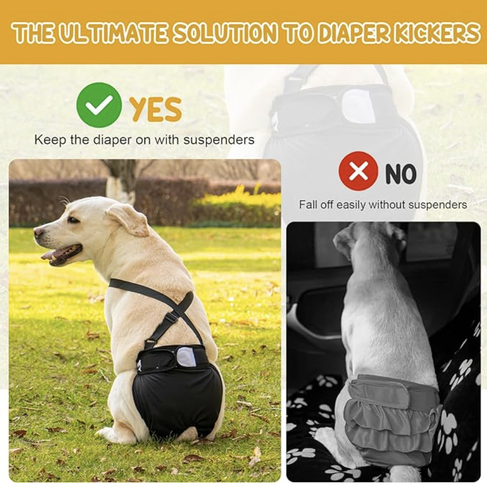 WX20240611-162854@2x