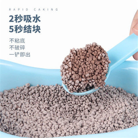 903178eb-2ed2-4721-91c5-e506632367f1.jpe