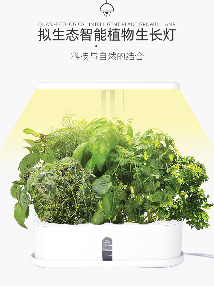 描述图_3.jpg