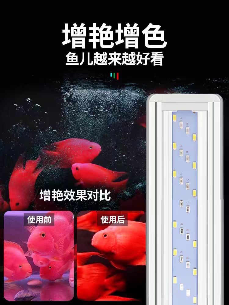 5bbc0ec4-d5c0-4def-9035-7c1ed6e8d90c.jpe