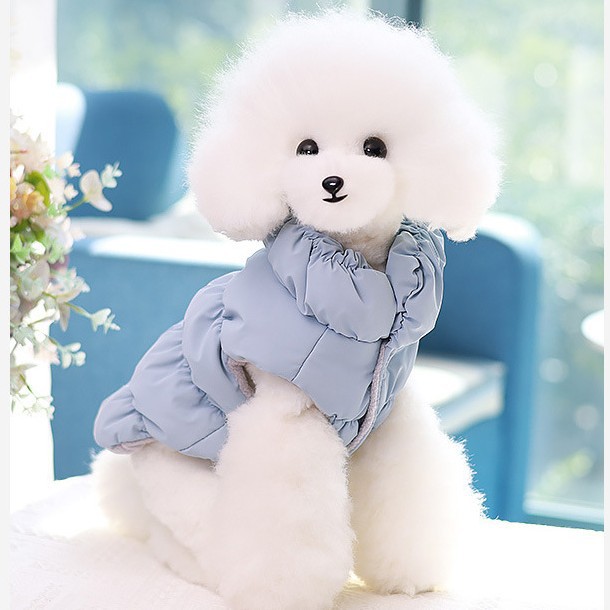 2024-11-19 12:46:55.jpg