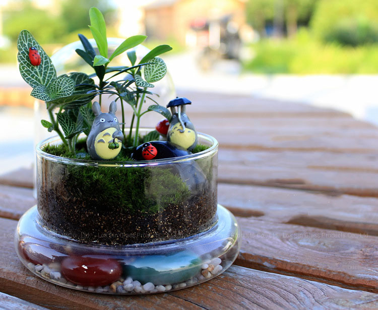 2041222968_1842579716