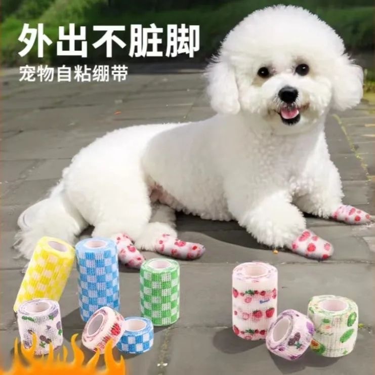 5aeb7f23-3096-4480-b9a9-dce126173d06.jpe