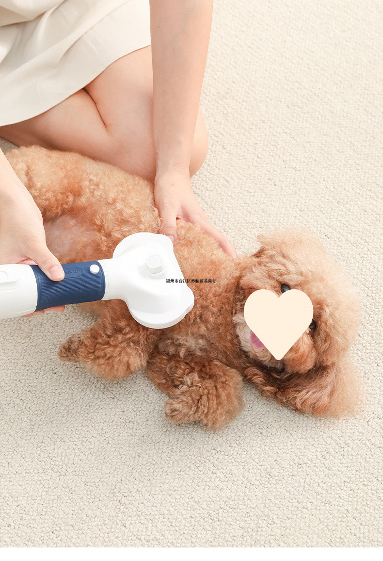 ad3ec175-b7a6-40b6-bc7c-8e23f08d4fb9.jpe