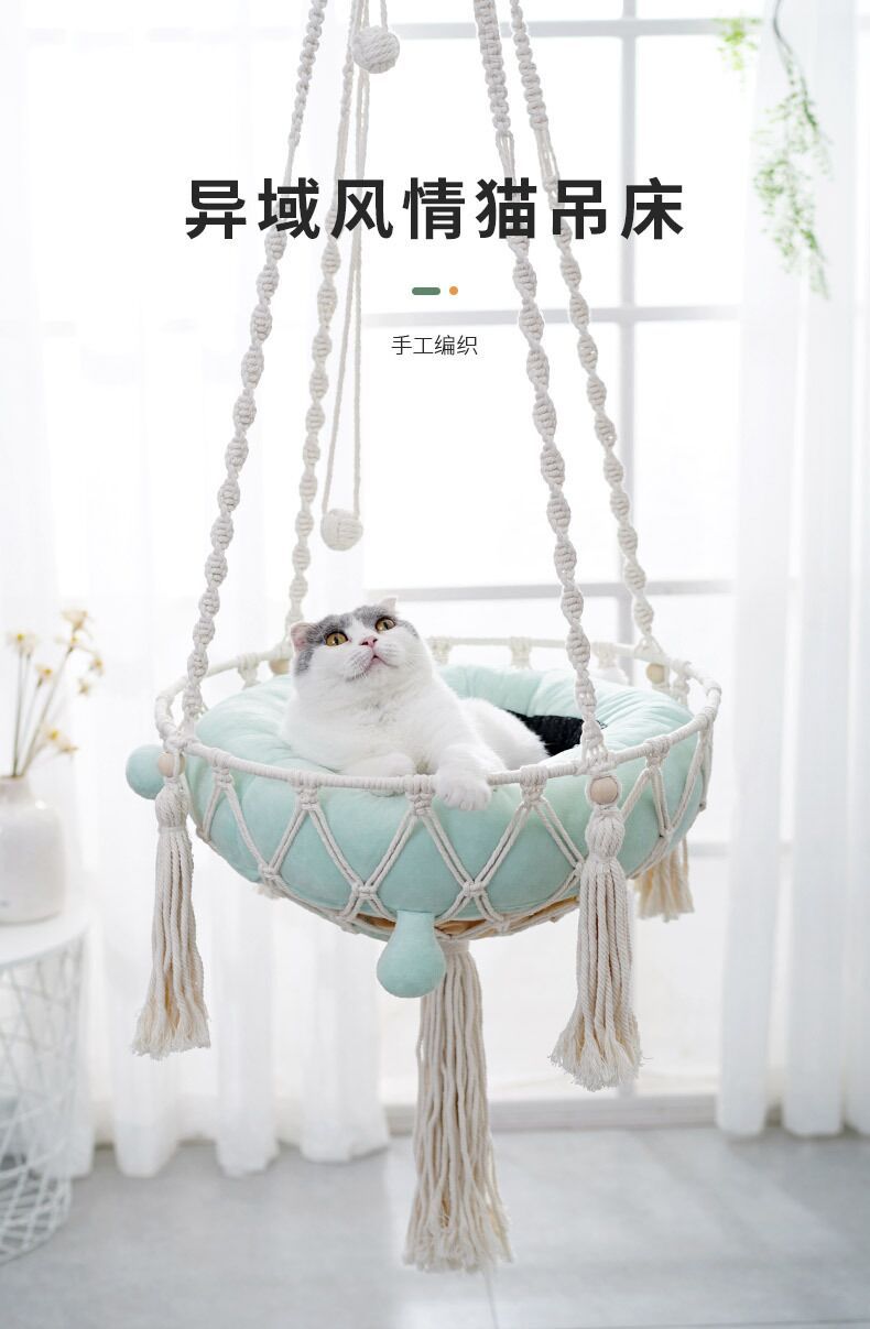 QQ图片20221110145929