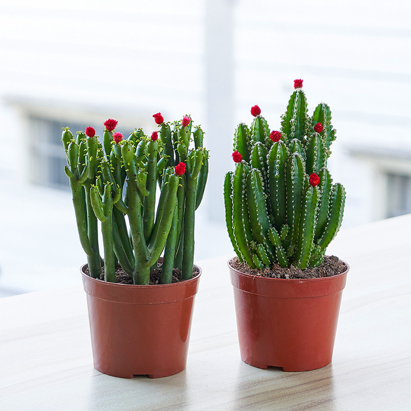 a0a3d323-f7cb-497c-a8bd-5cf5834f4754.jpe