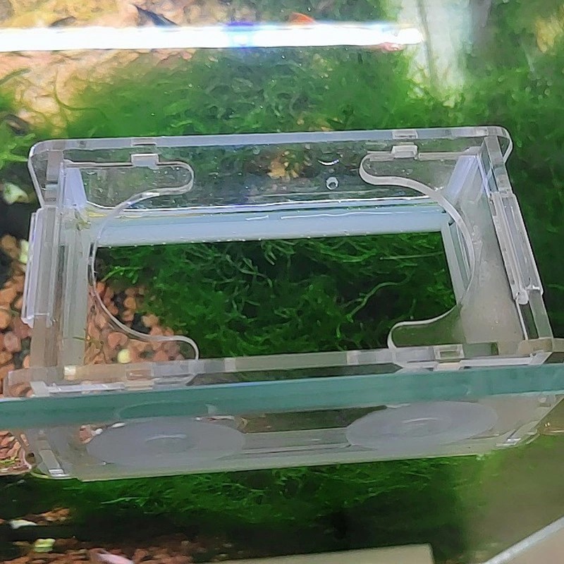 O1CN01YoWKma1vEAXwgfZg2_!!2861