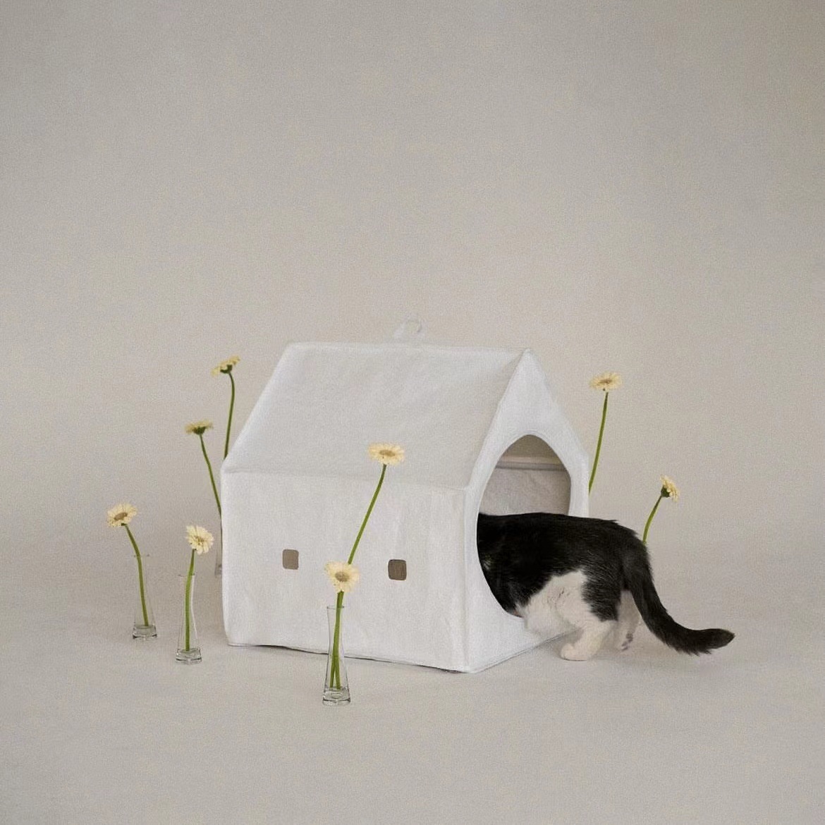 微信图片_20230725170141