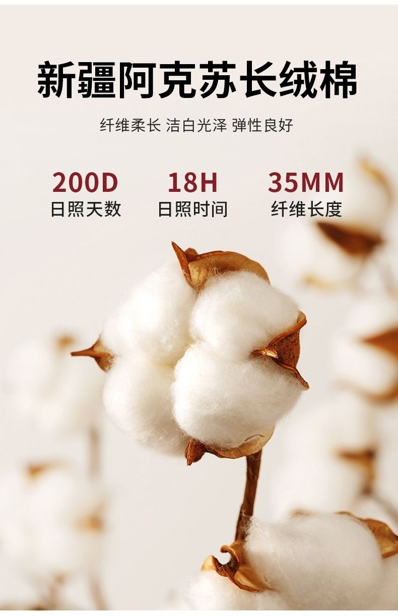 25044f93-bcab-49b2-ac66-b5f4ab839c89.jpe