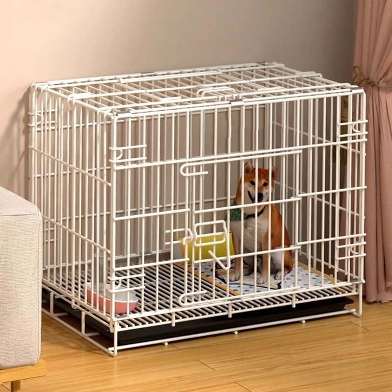 6448a0e8-5d66-4f00-885e-4d8f3c1e0658.jpe