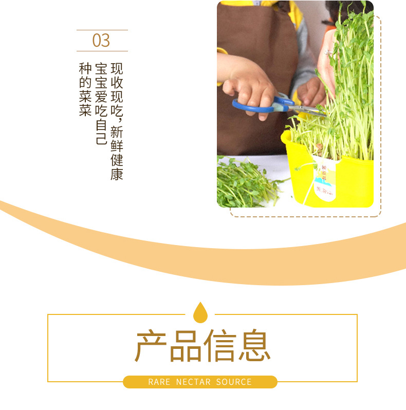 豆芽详情页_11.jpg?x-oss-process=image/format,png