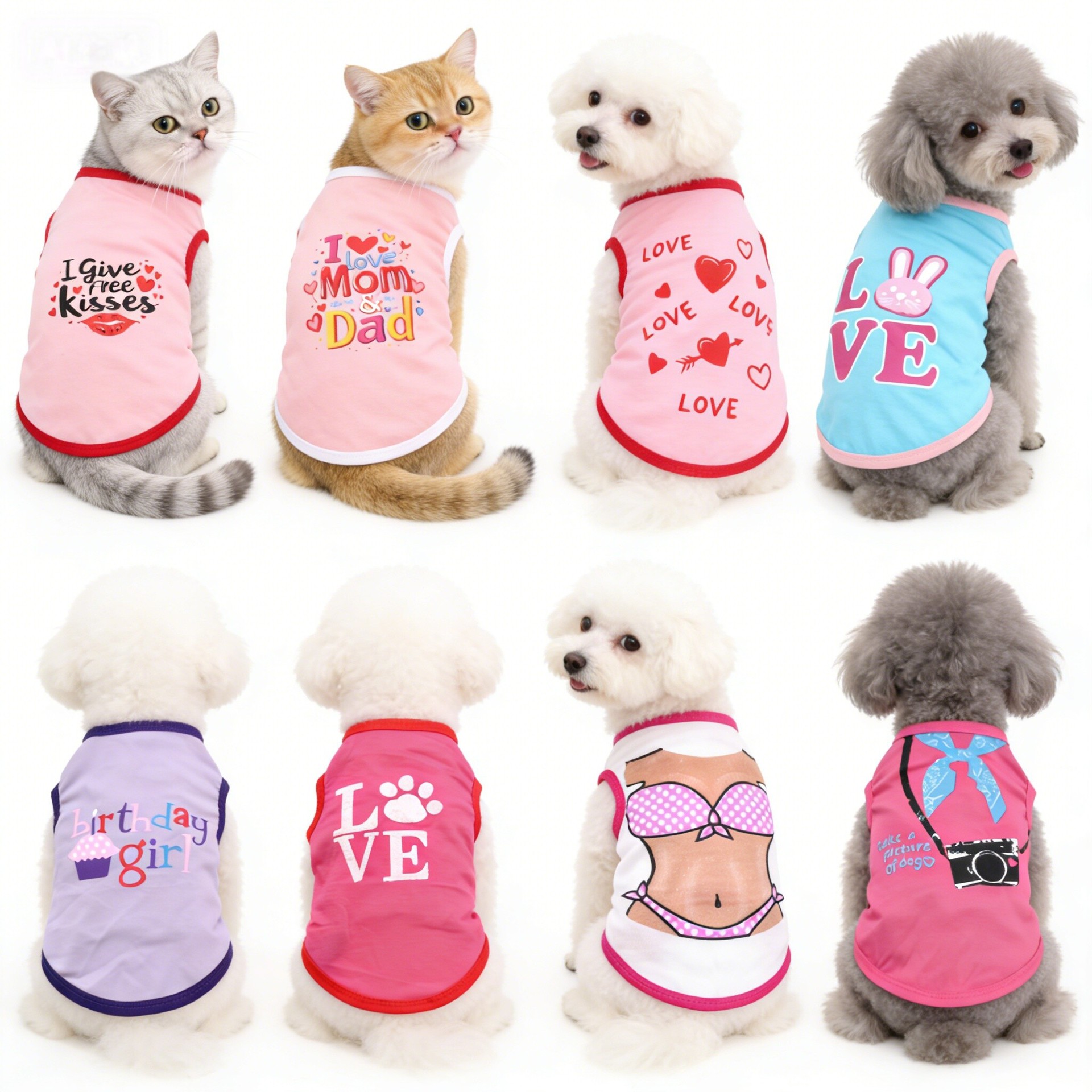 微信图片_20260312131533_122_131