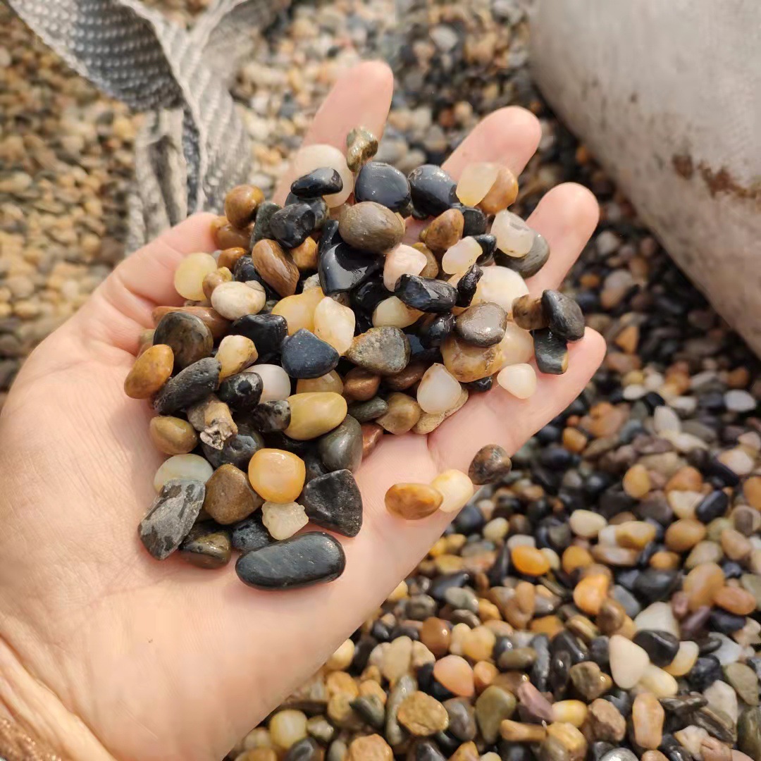 微信图片_20211118112604