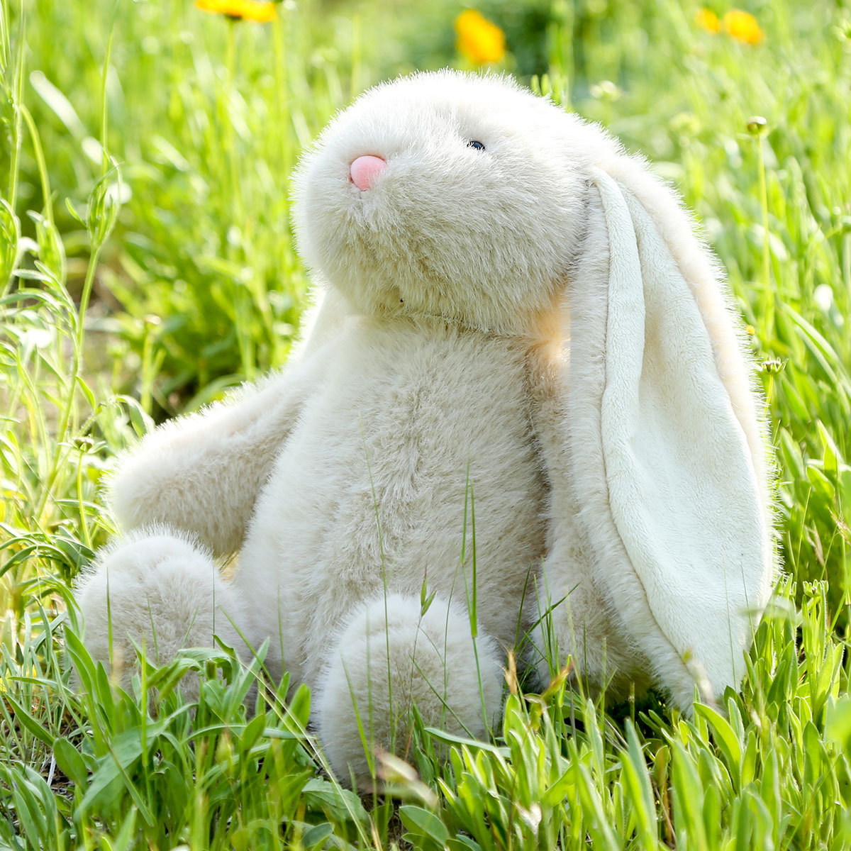 可选主图-妮妮兔 (11).jpg