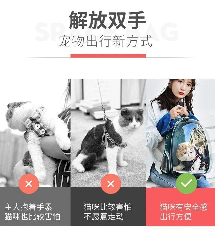 c00bf04d-d368-44ce-803b-e93bd4dd5a81.jpe