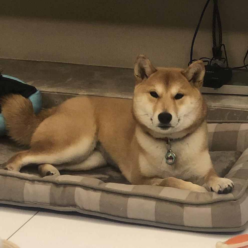 /O1CN01iioxR51XoJN1a7BzQ_!!2219415092970-0-cib.jpg?x-oss-process=image/format,png