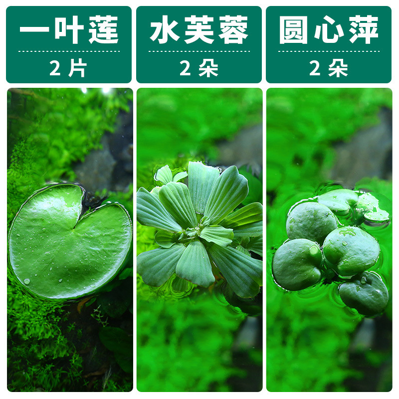 57ddc576-02dd-47e6-9374-5feba4a96f06.jpe