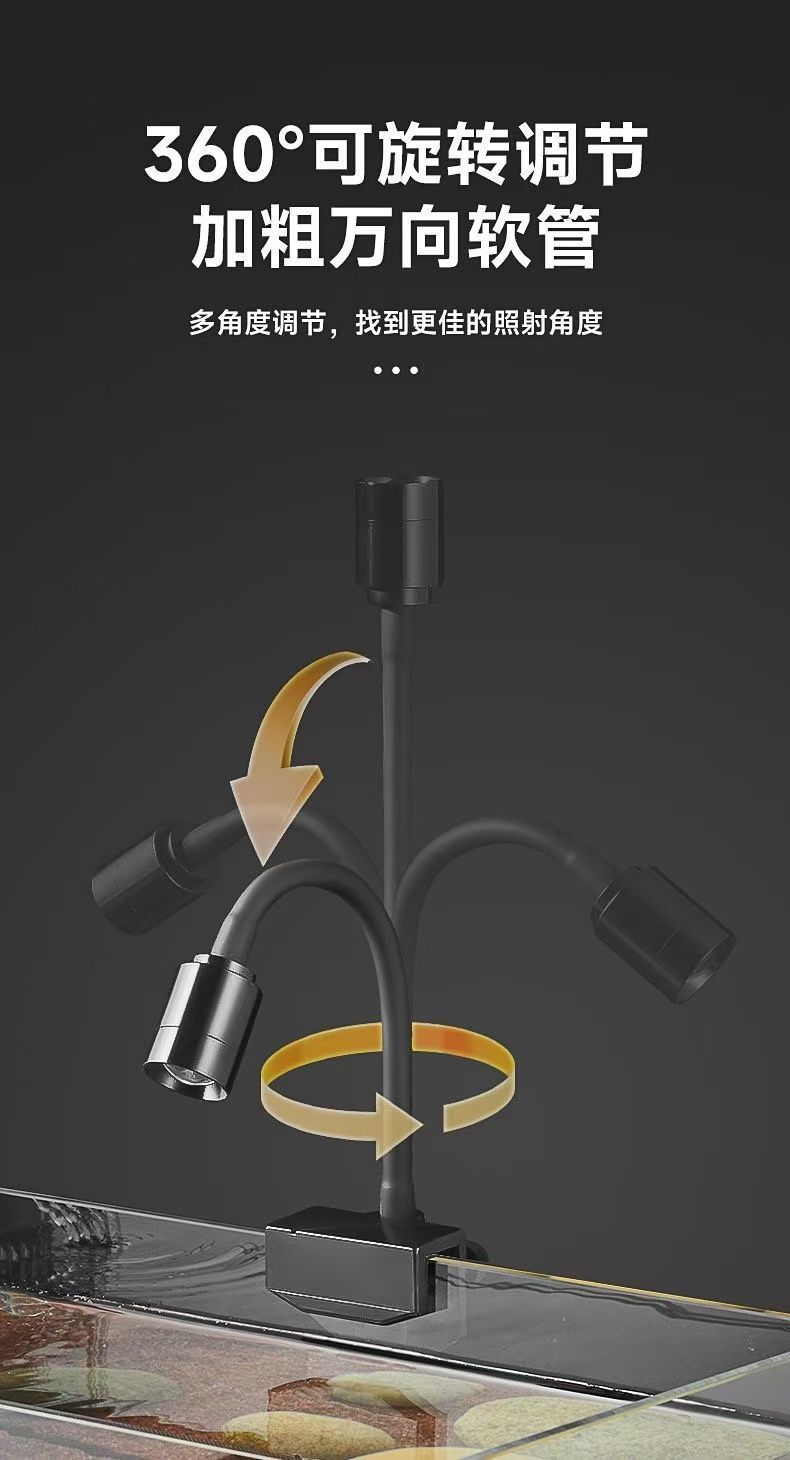 3e32e1e1-528a-45e9-8ac2-4df7f51a7b71.jpe