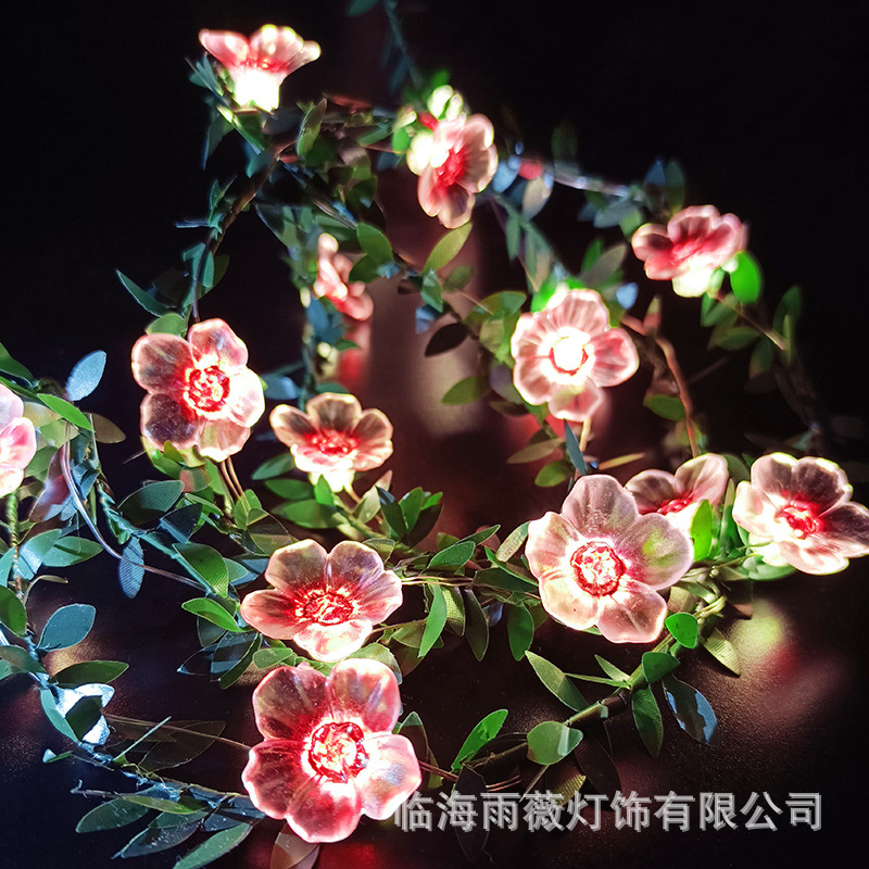 主图2