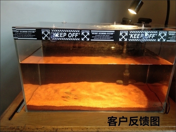 2e088056-3696-404e-b775-96801d4bd195.jpe