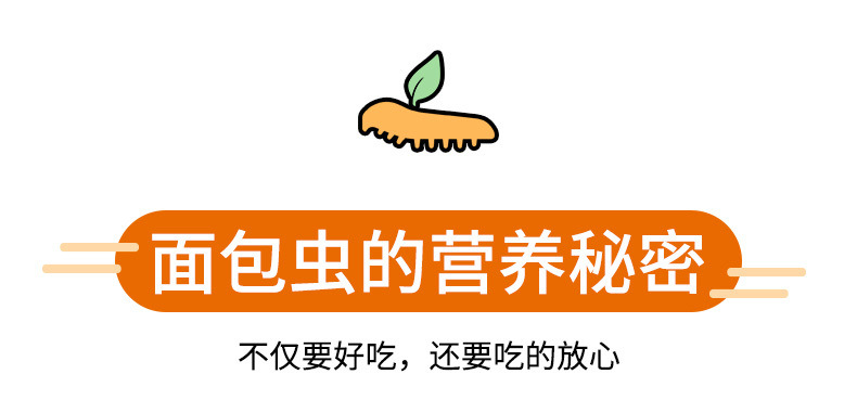 06cde3ff-1186-46a9-8245-48476f8d38c5.jpe