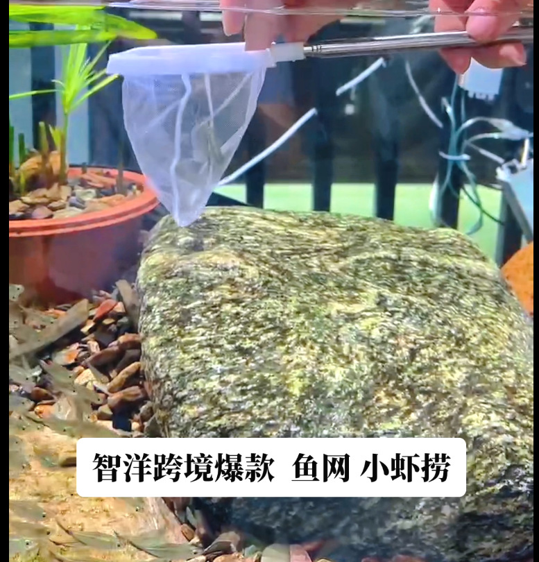 微信图片_20240620172141