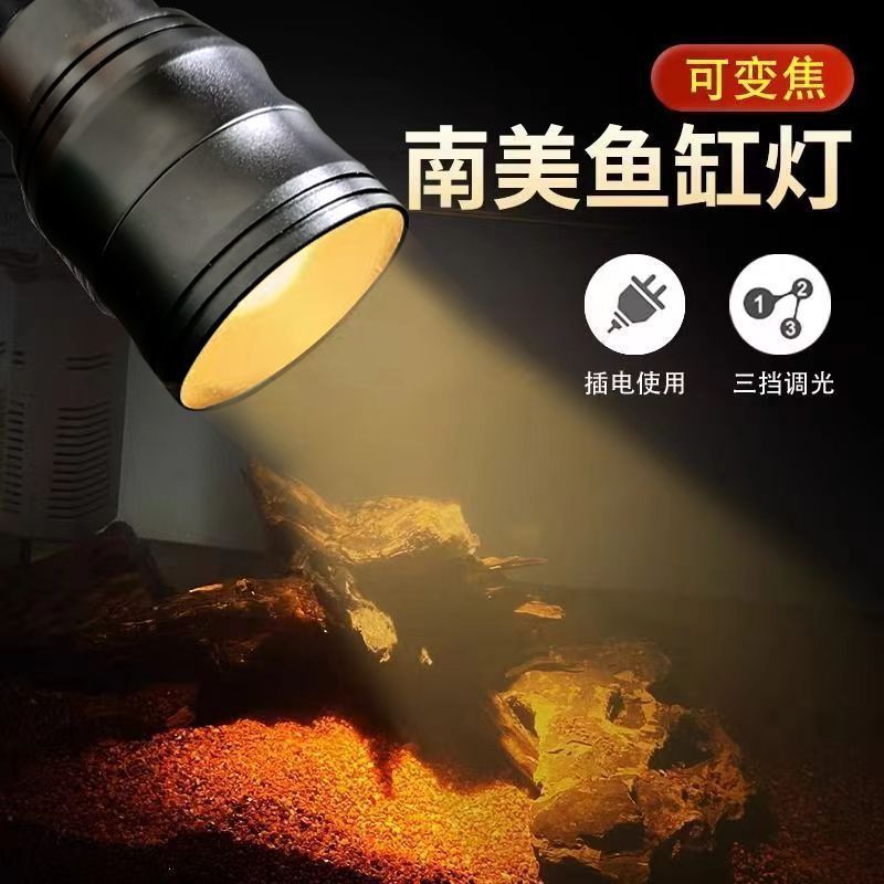 a7c44fed-53de-40e6-a656-175e5a06209f.jpe