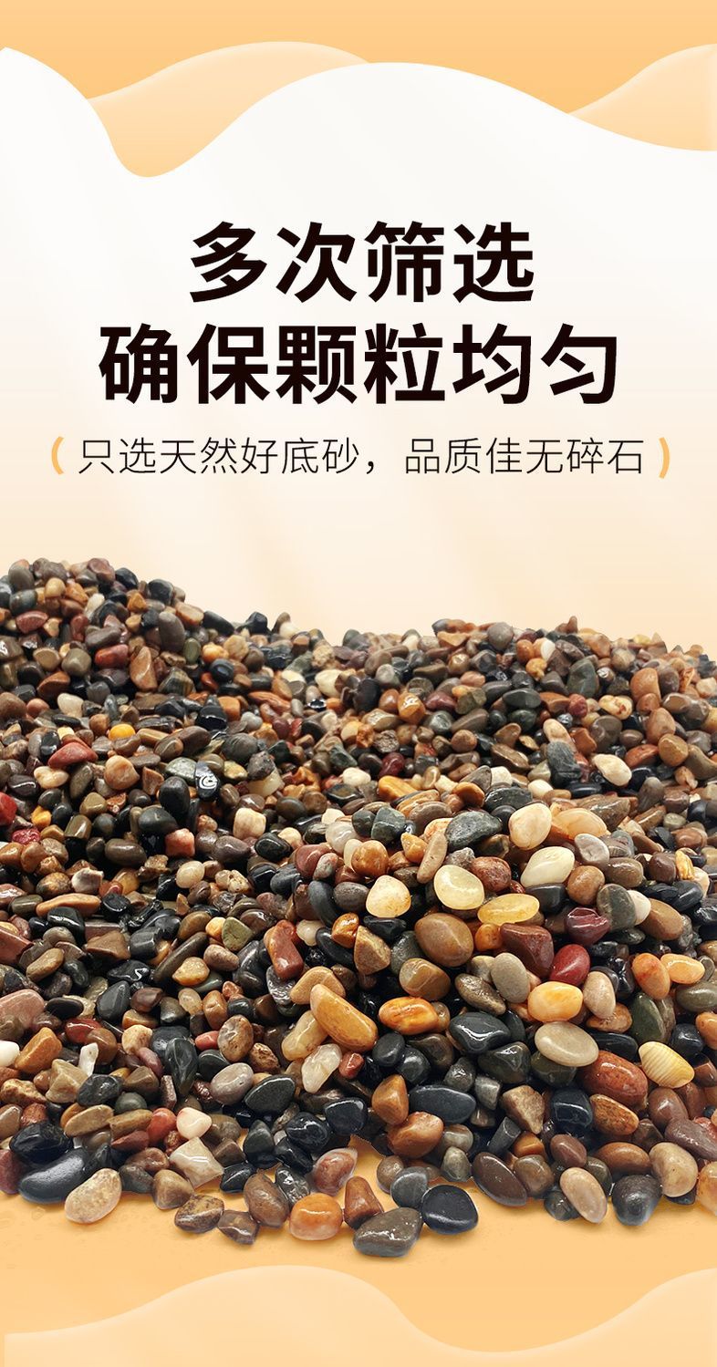 dd14cb62-73a1-4ac0-9b1d-b91c20733a72.jpe