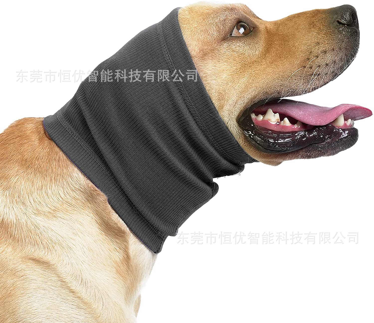 O1CN01Y1lg6L1R8GyLYGEoD_!!2209