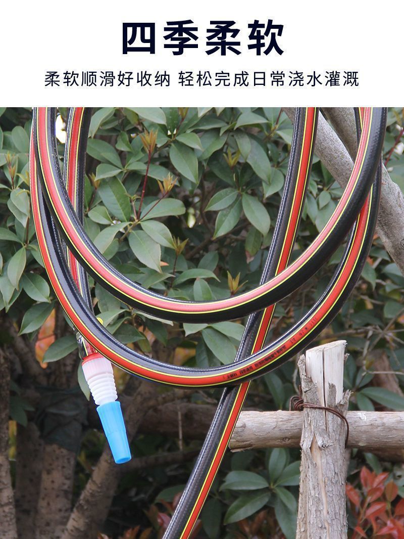 565b2c2a-dbac-4e2e-b06f-700e55dec7f1.jpe