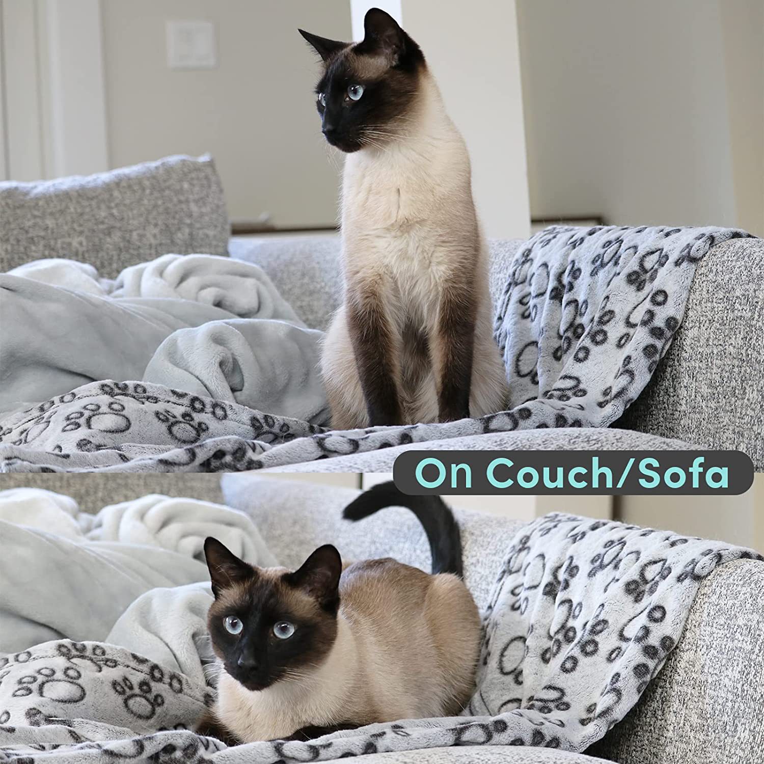 81mi+DeYunL._AC_SL1500_