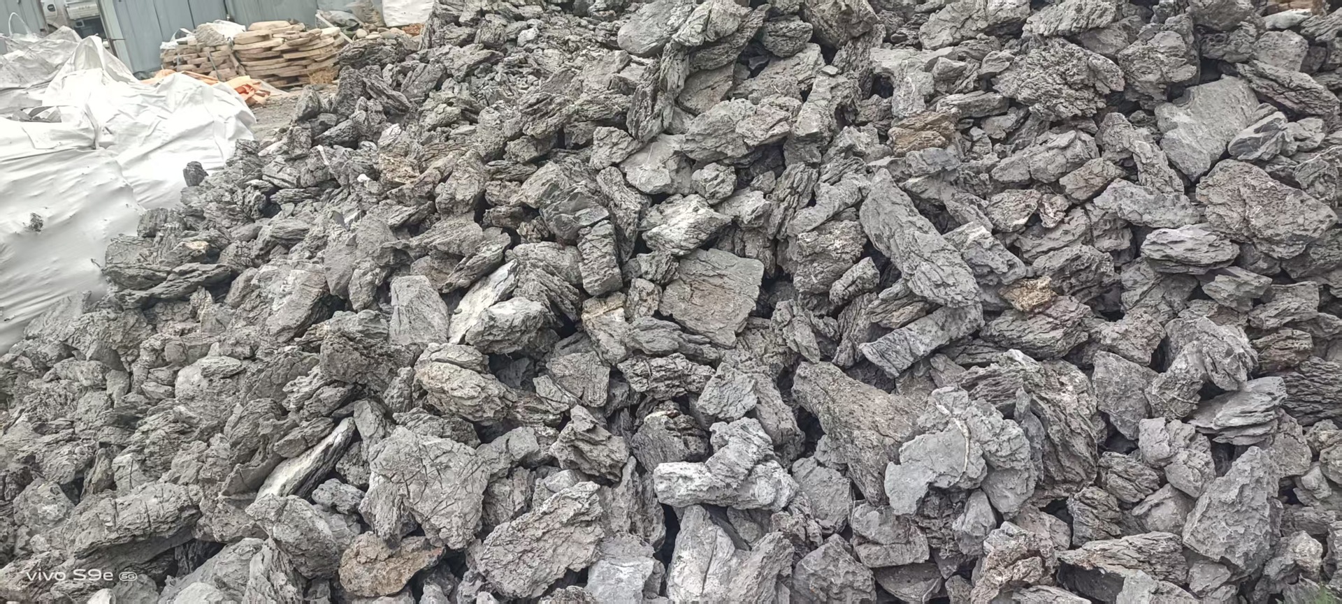 微信图片_20250601071105