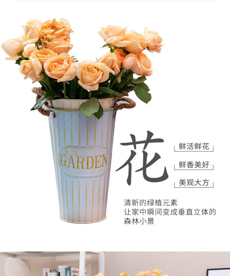 c86a4e99-8132-4fdb-9d5d-acdeee09c08a.jpe