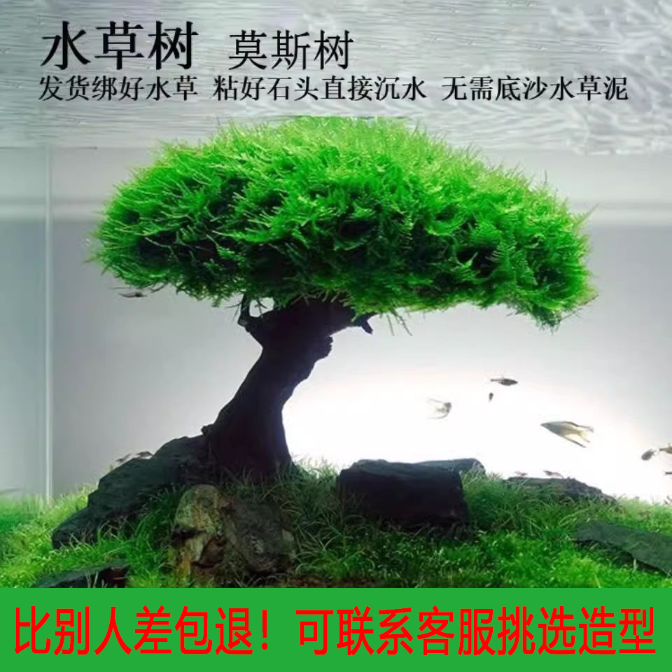 82840e68-e7cc-480e-9633-ef5682622306.jpe