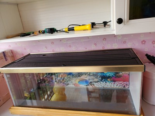 3f9491f7-333a-4fde-b8c9-9a4cd20de01c.jpe