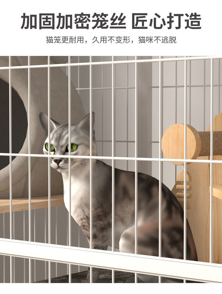 e4f9a8e4-d13a-4e60-8ac8-9fddf5b337d8.jpe