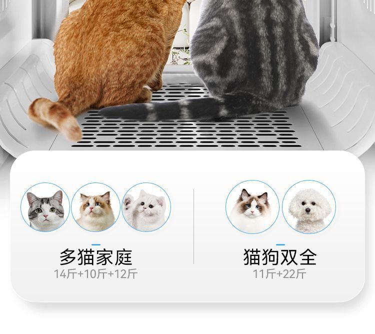 85de2eea-b3c7-4e1a-a299-ea13af14c5b2.jpe