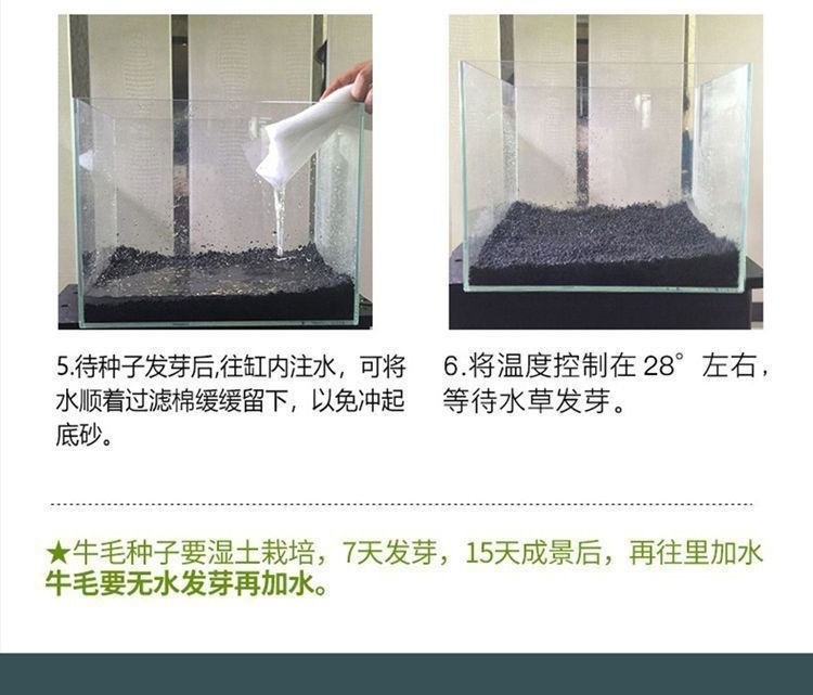 c021d4ca-24f3-4dc9-9d41-b918456a5b8e.jpe