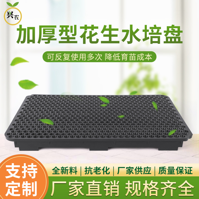 花生穴盘3