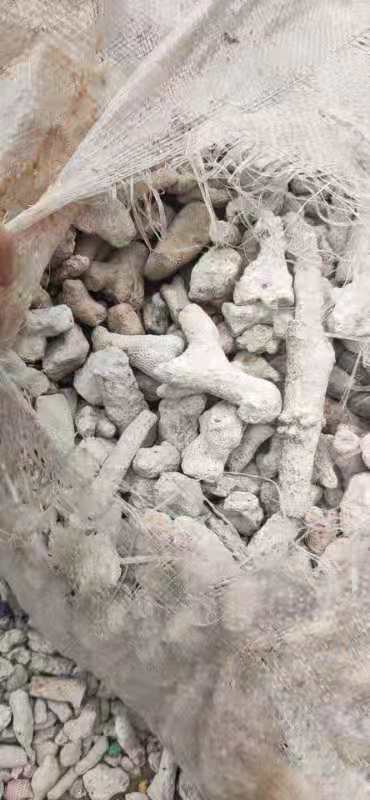 微信图片_20210716102641