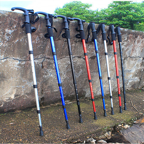 21d3f2e4-3d74-4f53-848b-d7ec5799657d.jpe