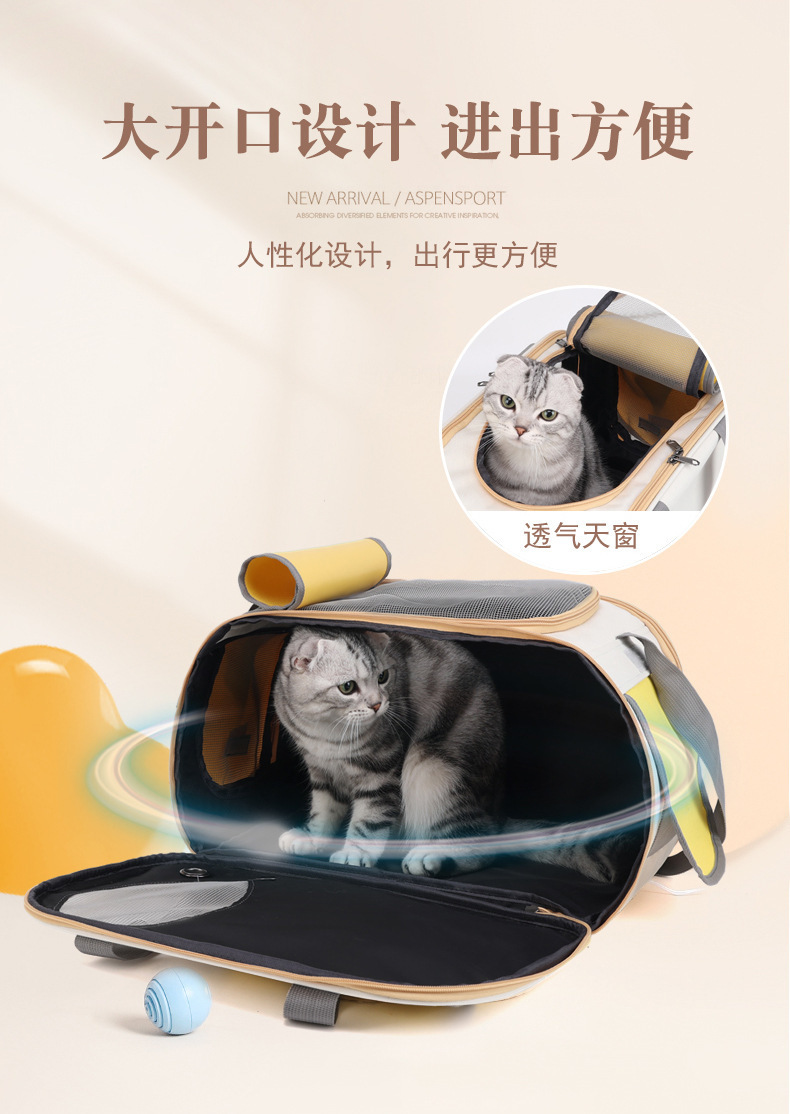 2ed8a05b-b77c-4455-9746-b4f9beedaaa7.jpe